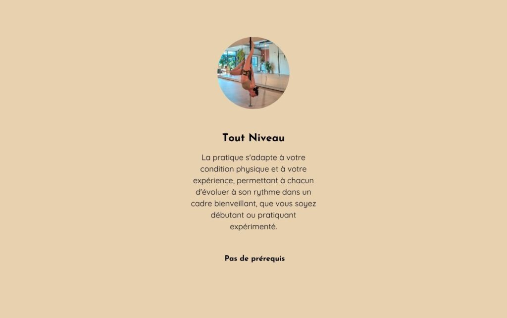 Cours tout niveau pole dance
