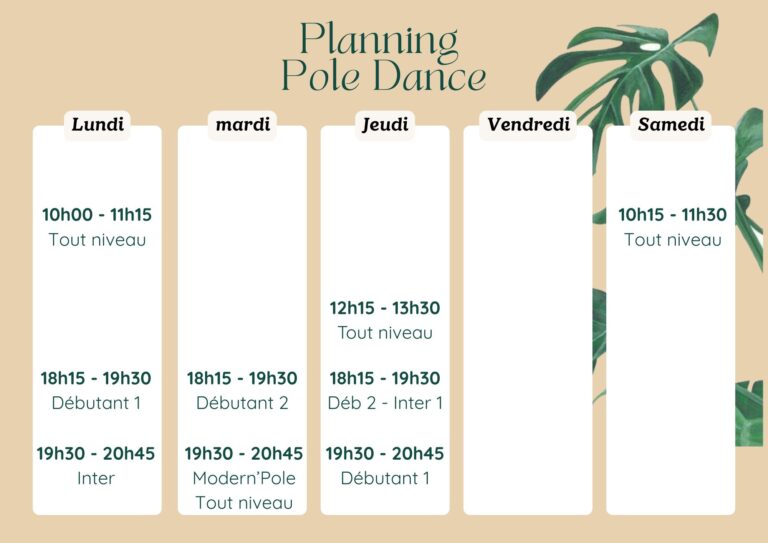 planning pole dance, montbert, studio l'art mada, pole dance, les niveaux